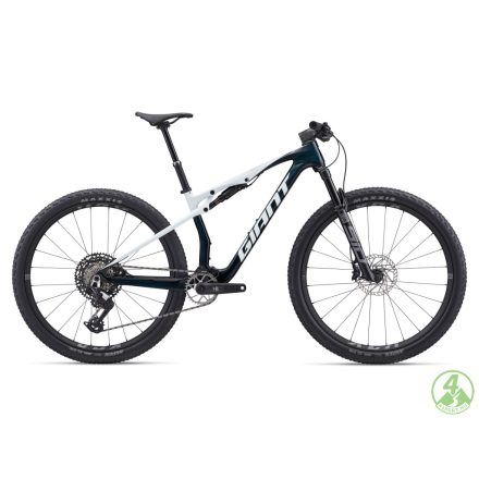 Giant Anthem Advanced SL 2
