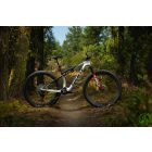 Giant Anthem Advanced SL SE