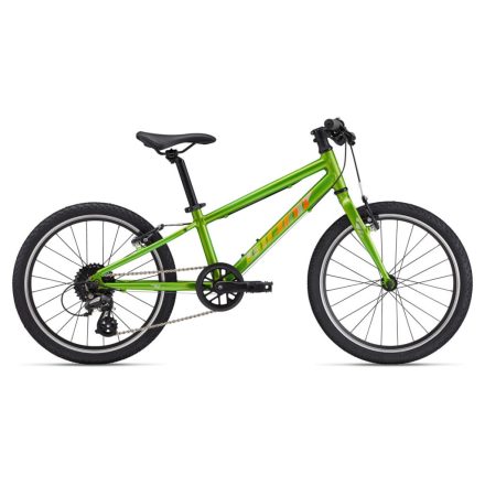 Giant ARX 20 
