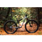 Liv Pique Advanced SL 2