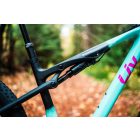 Liv Pique Advanced SL 1