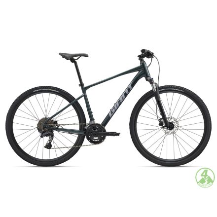 Giant Roam 2