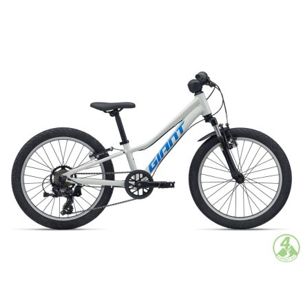 Giant Talon 20