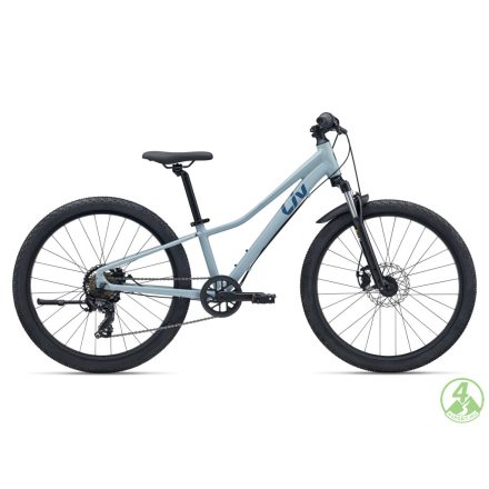 Giant Talon 24 Disc