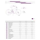 Liv Intrigue Advanced Pro 29 0