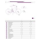 Liv Intrigue Advanced Pro 29 1