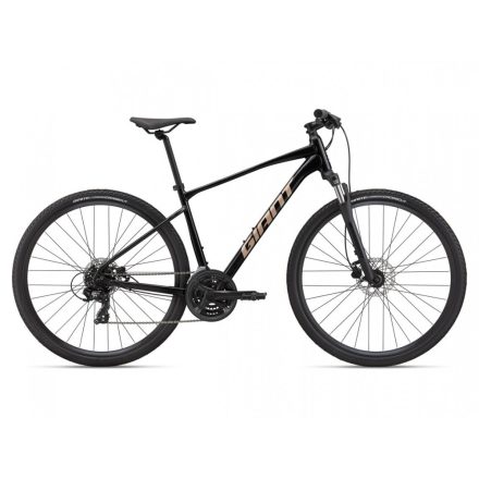 Giant Roam Disc 4 Black