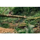 Giant Talon E+ Junior 24 Terracotta