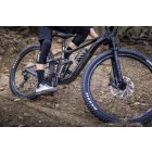 Giant Reign 2