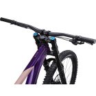 Giant Reign SX