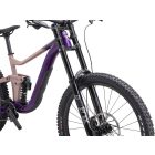 Giant Reign SX