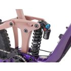 Giant Reign SX