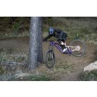 Giant Reign SX