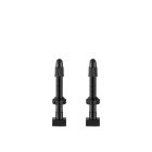 GIANT TUBELESS VALVE STEM X 2