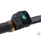 Liv Embolden E+ 1 Pale Moss/Black