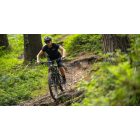 MARIN Alpine Trail E1