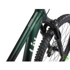 Liv Intrigue 29 1 - Kelp Forest
