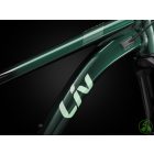 Liv Intrigue 29 1 - Kelp Forest