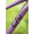Liv Embolden 2 - Purple Ash