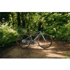 Liv Avail Advanced E+ Elite AR 25km/h - Silver Pine